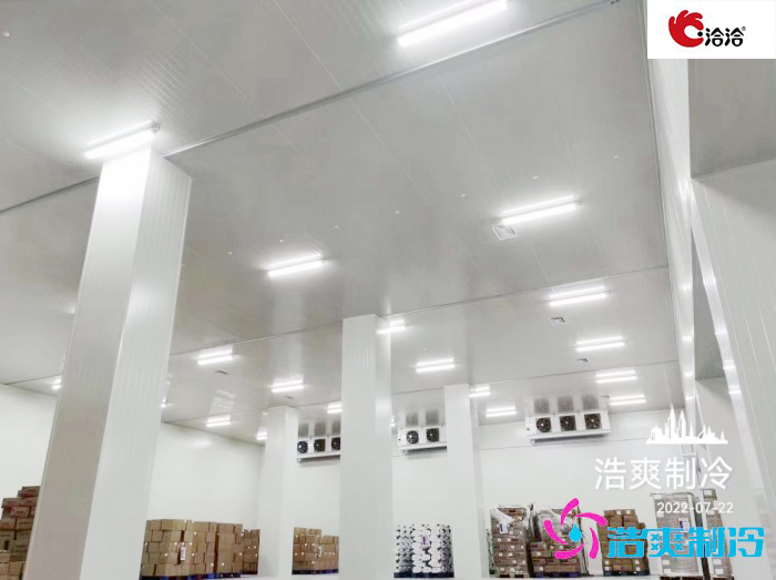 長(zhǎng)沙洽洽5000立方食品冷庫(kù)建造工程