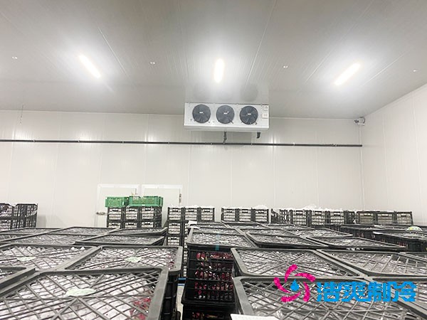 想知道保鮮冷庫(kù)設(shè)計(jì)安裝要花多少錢？-浩爽制冷