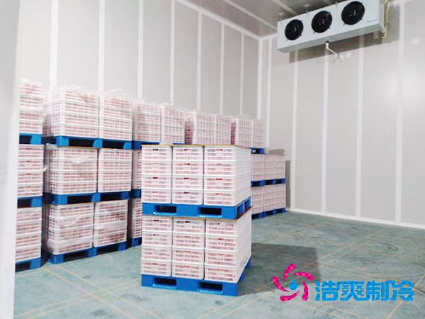 水果店冷庫存儲(chǔ)保鮮方法,水果保鮮冷庫造價(jià)成本